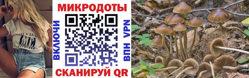 Галлюциногенные грибы ЛСД  Николаевск-на-Амуре 
